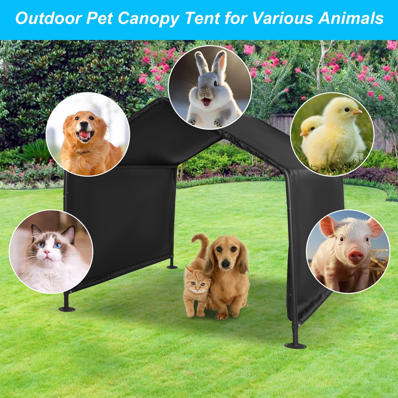 Outdoor dog tent best sale