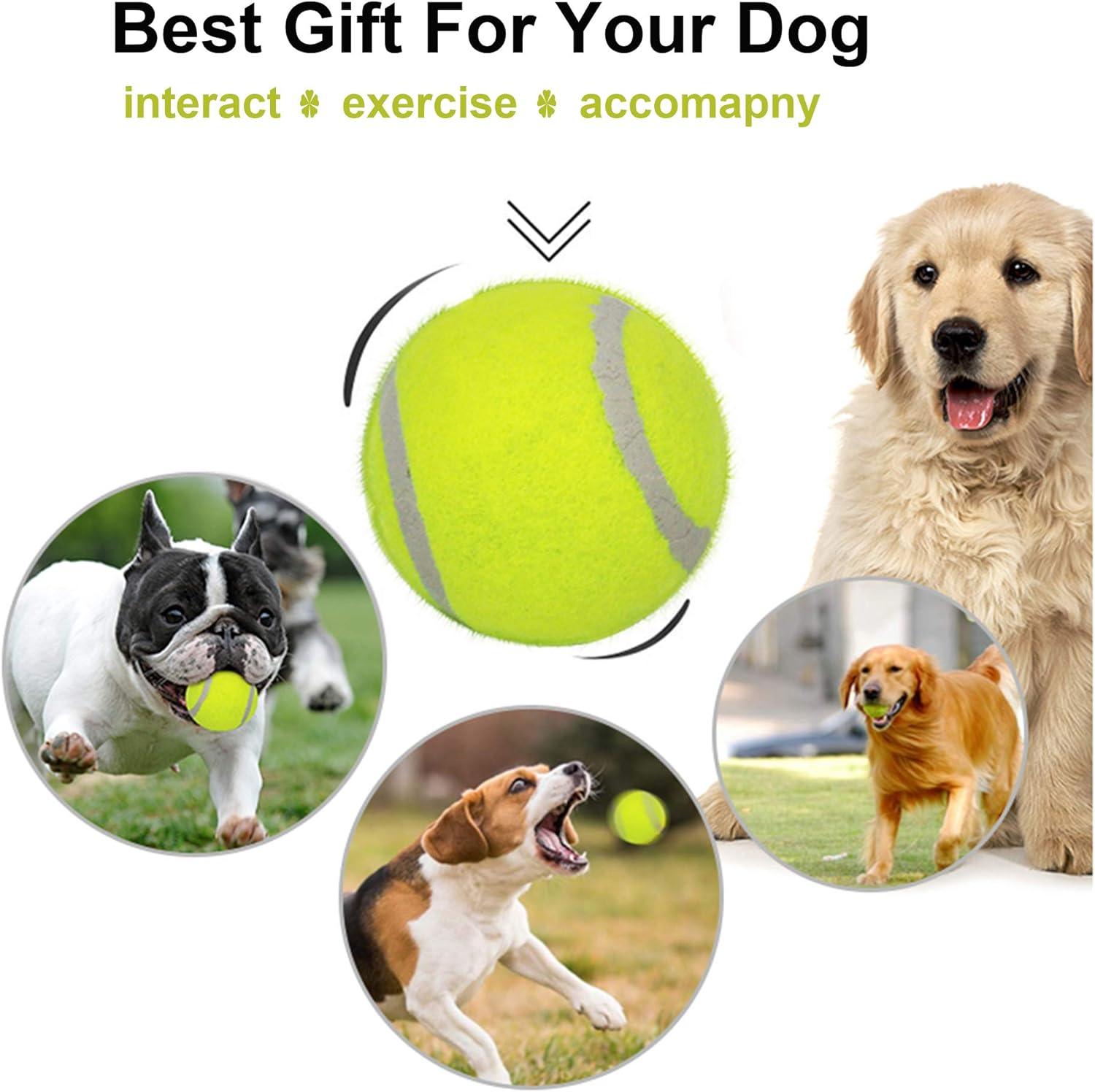 2 inch tennis balls best sale