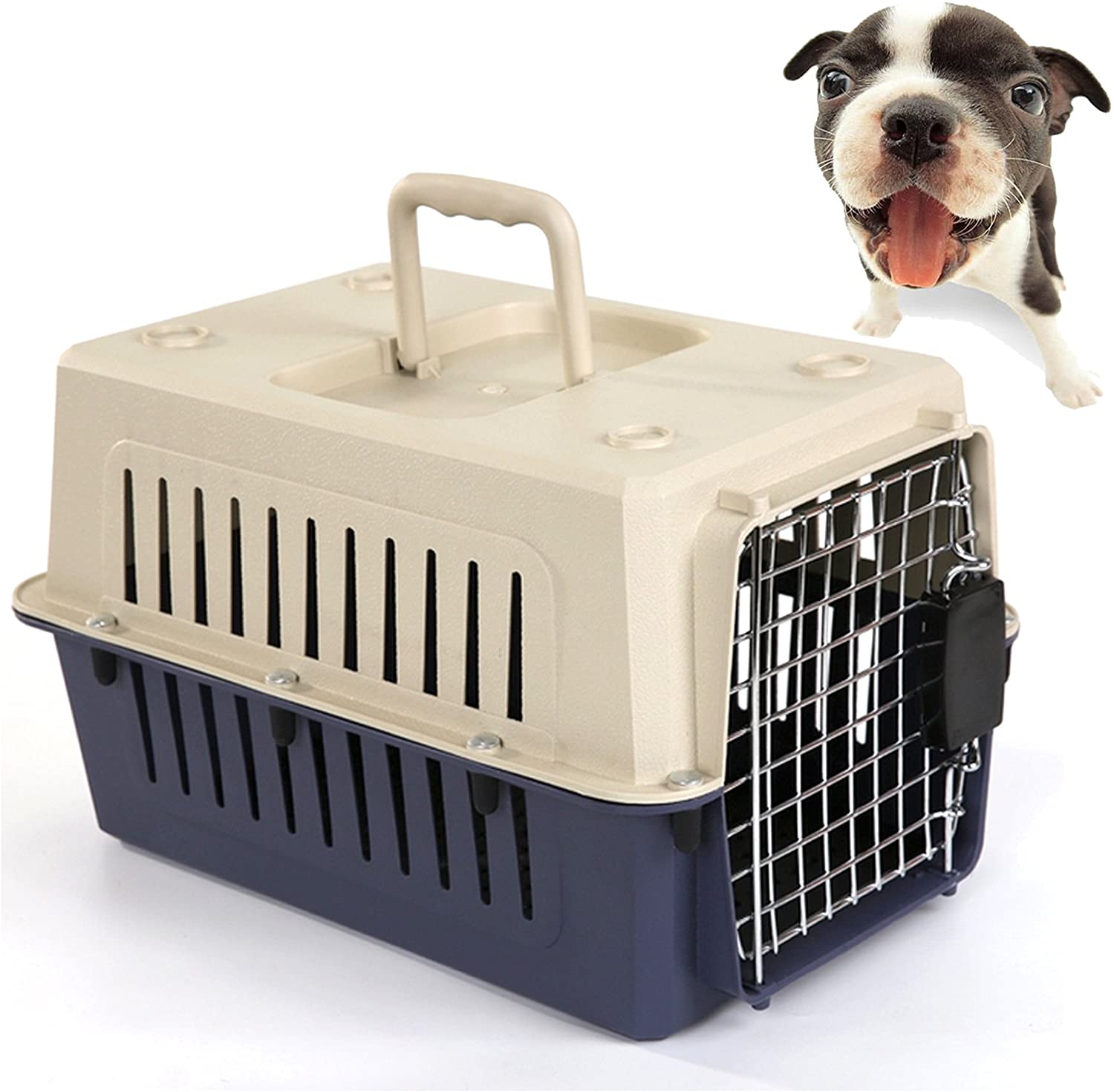 Airline Approved Cat Carrier Travel Kennel for Cats – Cute Cats Store